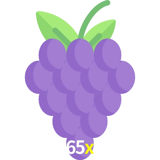 65x